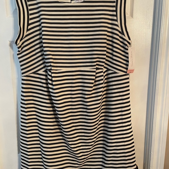 Liz Lange Maternity Sleeveless Stripe Dress - Picture 3 of 6